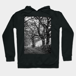 Tree stories Hoodie